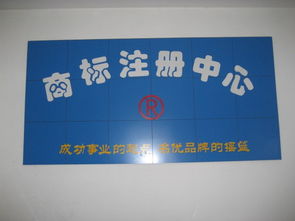 圣佳23周年 專業(yè)引領(lǐng)濟寧工商代理與公司注冊服務(wù)